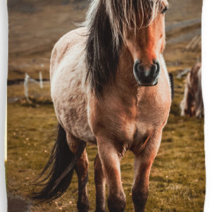 TipTrade Bavlněná froté osuška 70x140 cm - Kůň v horách