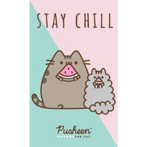 TipTrade Bavlněný froté ručníček 30x50 cm - Kočička Pusheen Stay Chill