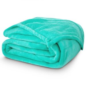 TipTrade Deka mikroplyš 150x200 cm - Mentolová