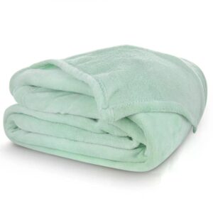 TipTrade Deka mikroplyš 150x200 cm - Pistácie