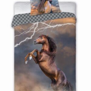 FARO Bavlněné povlečení 140x200 + 70x90 cm - Kůň v bouři