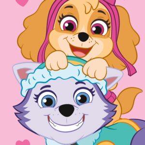 Jerry Fabrics Deka fleecová 100x150 cm - Tlapková patrola "PP518"