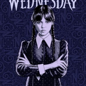 Jerry Fabrics Deka fleecová 100x150 cm - Wednesday