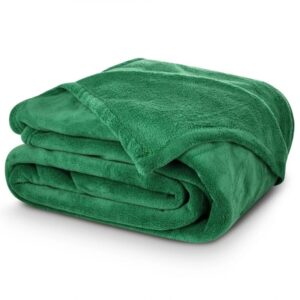 TipTrade Deka mikroplyš 150x200 cm - Zelená