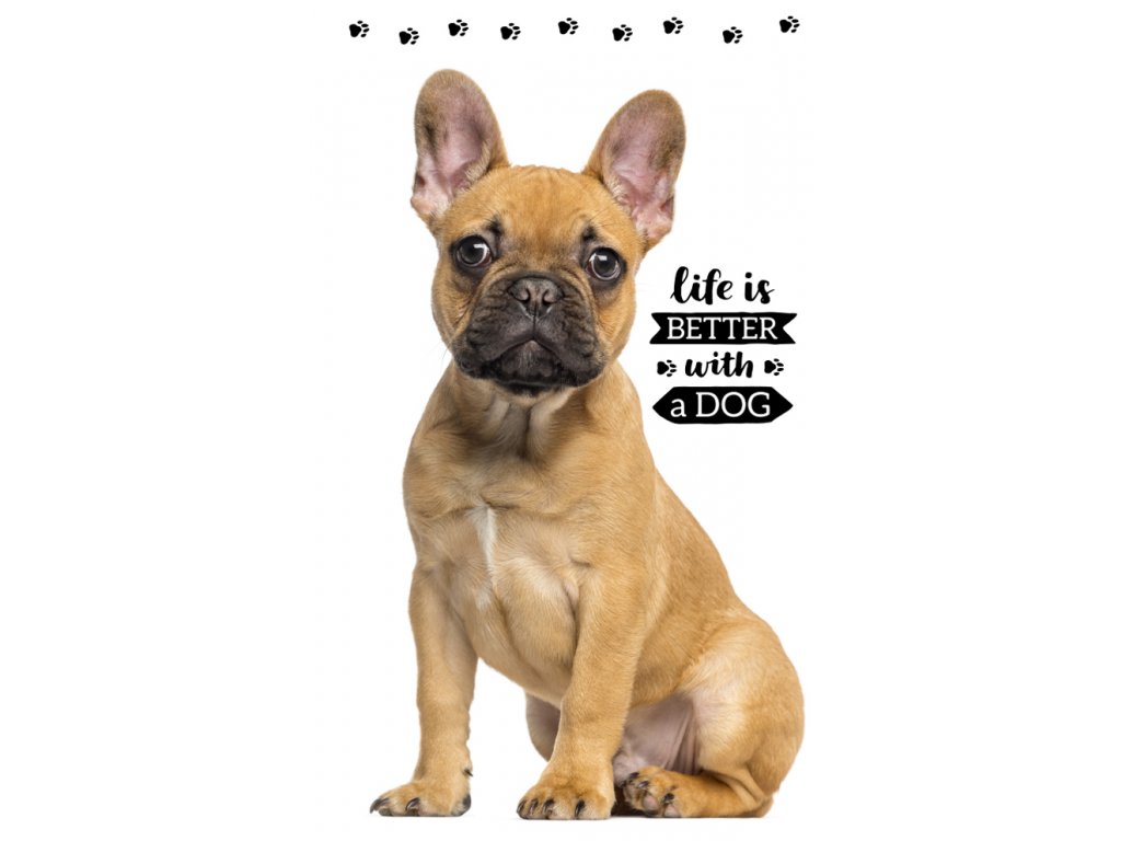 TipTrade Bavlněný froté ručníček 30x50 cm - Francouzský buldoček