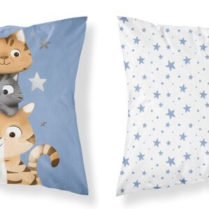 Detexpol Povlak na polštářek 40x40 cm - Kočičí hvězdy