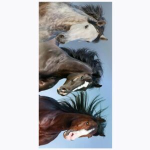 TipTrade Bavlněná froté osuška 70x140 cm - Divocí koně v přírodě