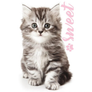 TipTrade Bavlněný froté ručníček 30x50 cm - Kocourek Mourek