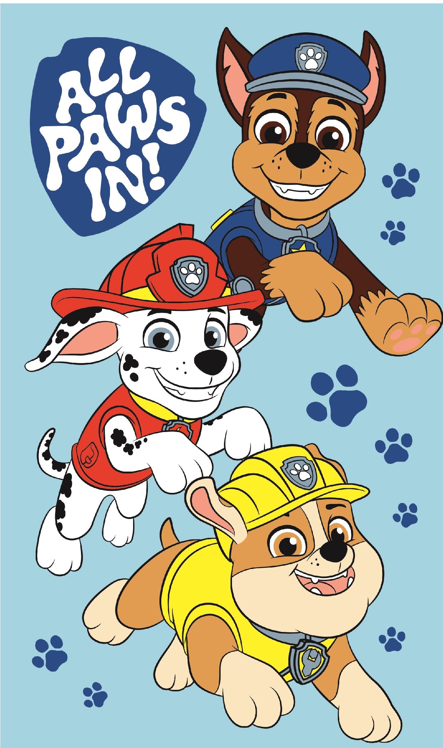Jerry Fabrics Bavlněný froté ručníček 30x50 cm - Tlapková patrola "Boys"