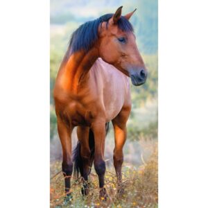 TipTrade Bavlněný froté ručníček 30x50 cm - Kůň Hnědák na louce